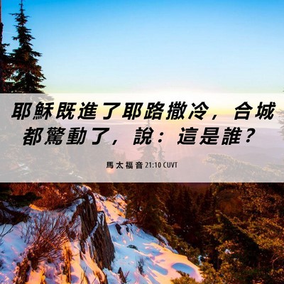 Picture 06 - 馬 太 福 音 21:10 CUVT - 耶 穌 既 進 了 耶 路 撒 冷 ， 合 城 - Bible Verse Picture