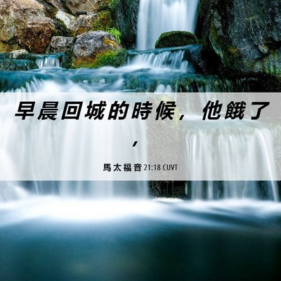 Picture 06 - 馬 太 福 音 21:18 CUVT - 早 晨 回 城 的 時 候 ， 他 餓 了 - Bible Verse Picture