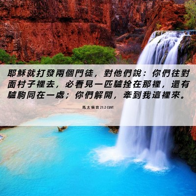 Picture 06 - 馬 太 福 音 21:2 CUVT - 耶 穌 就 打 發 兩 個 門 徒 ， 對 他 - Bible Verse Picture