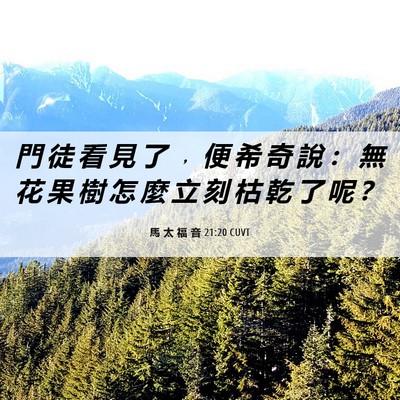 Picture 06 - 馬 太 福 音 21:20 CUVT - 門 徒 看 見 了 ﹐ 便 希 奇 說 ： 無 - Bible Verse Picture