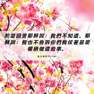 Picture 06 - 馬 太 福 音 21:27 CUVT - 於 是 回 答 耶 穌 說 ： 我 們 不 知 - Bible Verse Picture
