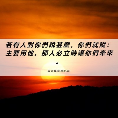 Picture 06 - 馬 太 福 音 21:3 CUVT - 若 有 人 對 你 們 說 甚 麼 ， 你 們 - Bible Verse Picture