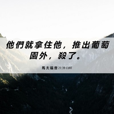 Picture 06 - 馬 太 福 音 21:39 CUVT - 他 們 就 拿 住 他 ， 推 出 葡 萄 園 - Bible Verse Picture