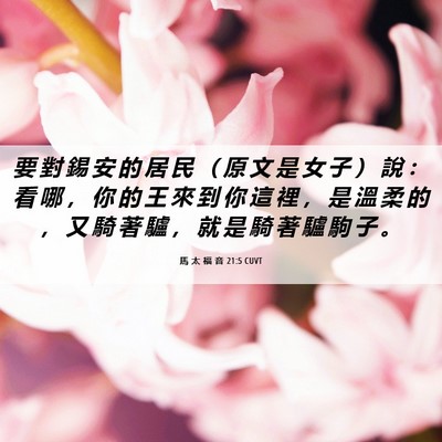 Picture 06 - 馬 太 福 音 21:5 CUVT - 要 對 錫 安 的 居 民 （ 原 文 是 女 - Bible Verse Picture