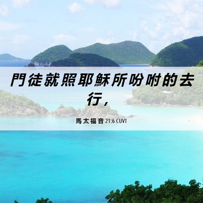 Picture 06 - 馬 太 福 音 21:6 CUVT - 門 徒 就 照 耶 穌 所 吩 咐 的 去 行 - Bible Verse Picture
