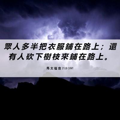 Picture 06 - 馬 太 福 音 21:8 CUVT - 眾 人 多 半 把 衣 服 鋪 在 路 上 ； - Bible Verse Picture