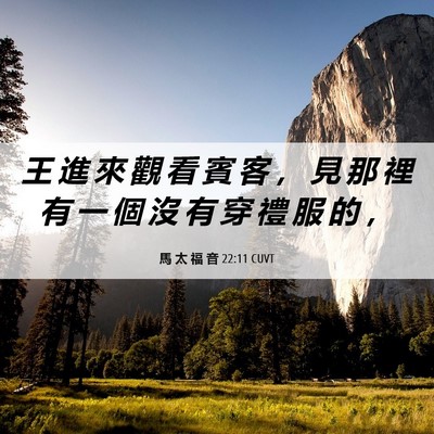 Picture 06 - 馬 太 福 音 22:11 CUVT - 王 進 來 觀 看 賓 客 ， 見 那 裡 有 - Bible Verse Picture