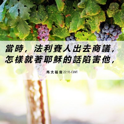 Picture 06 - 馬 太 福 音 22:15 CUVT - 當 時 ， 法 利 賽 人 出 去 商 議 ， - Bible Verse Picture