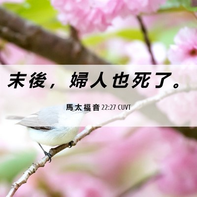 Picture 06 - 馬 太 福 音 22:27 CUVT - 末 後 ， 婦 人 也 死 了 - Bible Verse Picture