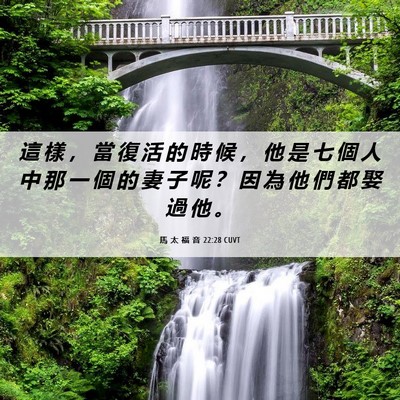 Picture 06 - 馬 太 福 音 22:28 CUVT - 這 樣 ， 當 復 活 的 時 候 ， 他 是 - Bible Verse Picture