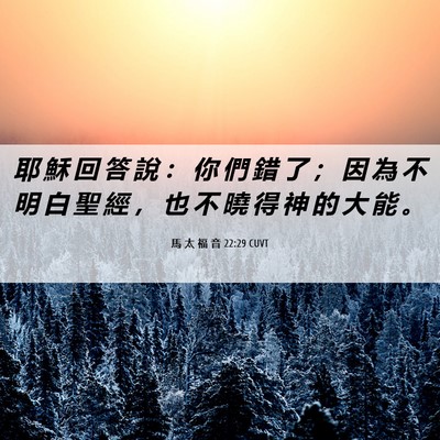 Picture 06 - 馬 太 福 音 22:29 CUVT - 耶 穌 回 答 說 ： 你 們 錯 了 ； 因 - Bible Verse Picture