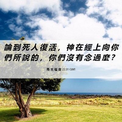 Picture 06 - 馬 太 福 音 22:31 CUVT - 論 到 死 人 復 活 ， 神 在 經 上 向 - Bible Verse Picture