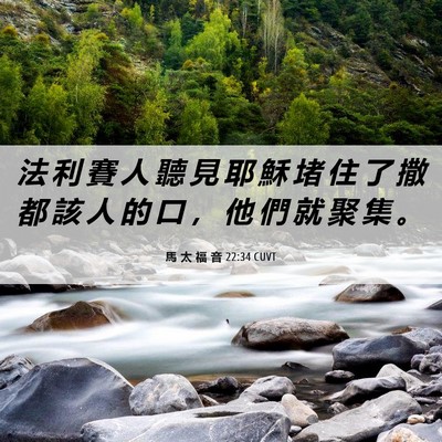 Picture 06 - 馬 太 福 音 22:34 CUVT - 法 利 賽 人 聽 見 耶 穌 堵 住 了 撒 - Bible Verse Picture