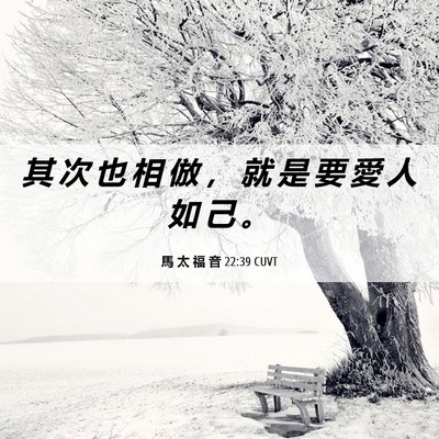 Picture 06 - 馬 太 福 音 22:39 CUVT - 其 次 也 相 倣 ， 就 是 要 愛 人 如 - Bible Verse Picture