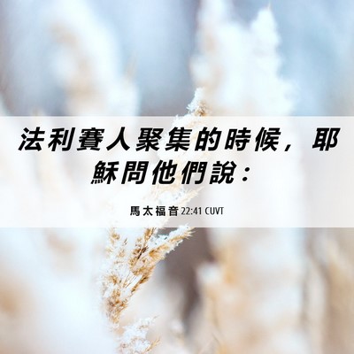 Picture 06 - 馬 太 福 音 22:41 CUVT - 法 利 賽 人 聚 集 的 時 候 ， 耶 穌 - Bible Verse Picture