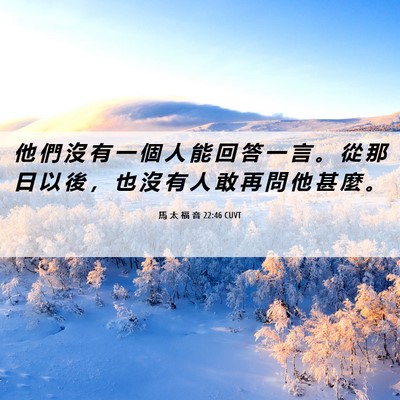 Picture 06 - 馬 太 福 音 22:46 CUVT - 他 們 沒 有 一 個 人 能 回 答 一 言 - Bible Verse Picture