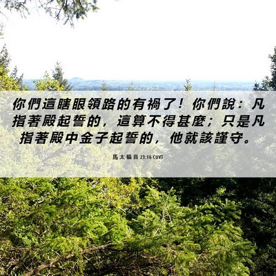Picture 06 - 馬 太 福 音 23:16 CUVT - 你 們 這 瞎 眼 領 路 的 有 禍 了 ！ - Bible Verse Picture