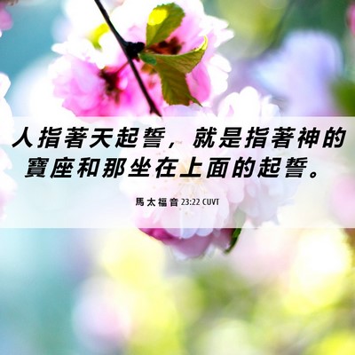 Picture 06 - 馬 太 福 音 23:22 CUVT - 人 指 著 天 起 誓 ， 就 是 指 著 神 - Bible Verse Picture