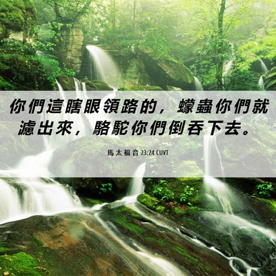 Picture 06 - 馬 太 福 音 23:24 CUVT - 你 們 這 瞎 眼 領 路 的 ， 蠓 蟲 你 - Bible Verse Picture