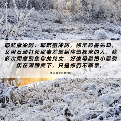 Picture 06 - 馬 太 福 音 23:37 CUVT - 耶 路 撒 冷 阿 ， 耶 路 撒 冷 阿 ， - Bible Verse Picture