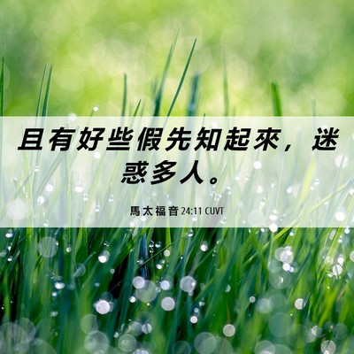 Picture 06 - 馬 太 福 音 24:11 CUVT - 且 有 好 些 假 先 知 起 來 ， 迷 惑 - Bible Verse Picture