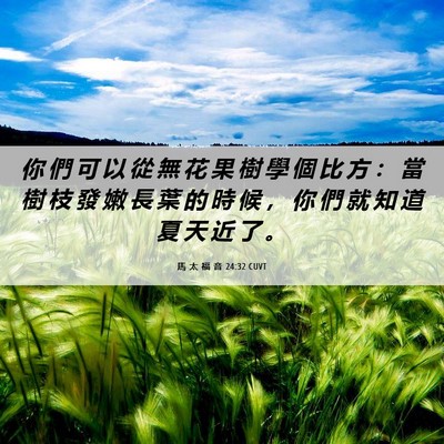 Picture 06 - 馬 太 福 音 24:32 CUVT - 你 們 可 以 從 無 花 果 樹 學 個 比 - Bible Verse Picture