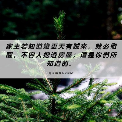 Picture 06 - 馬 太 福 音 24:43 CUVT - 家 主 若 知 道 幾 更 天 有 賊 來 ， - Bible Verse Picture