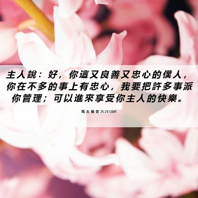 Picture 06 - 馬 太 福 音 25:23 CUVT - 主 人 說 ： 好 ， 你 這 又 良 善 又 - Bible Verse Picture