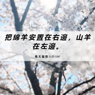 Picture 06 - 馬 太 福 音 25:33 CUVT - 把 綿 羊 安 置 在 右 邊 ， 山 羊 在 - Bible Verse Picture