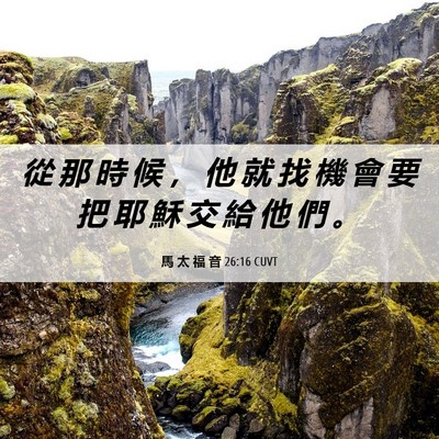 Picture 06 - 馬 太 福 音 26:16 CUVT - 從 那 時 候 ， 他 就 找 機 會 要 把 - Bible Verse Picture