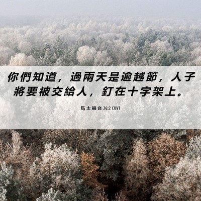 Picture 06 - 馬 太 福 音 26:2 CUVT - 你 們 知 道 ， 過 兩 天 是 逾 越 節 - Bible Verse Picture