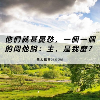 Picture 06 - 馬 太 福 音 26:22 CUVT - 他 們 就 甚 憂 愁 ， 一 個 一 個 的 - Bible Verse Picture