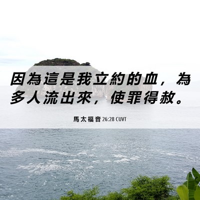 Picture 06 - 馬 太 福 音 26:28 CUVT - 因 為 這 是 我 立 約 的 血 ， 為 多 - Bible Verse Picture