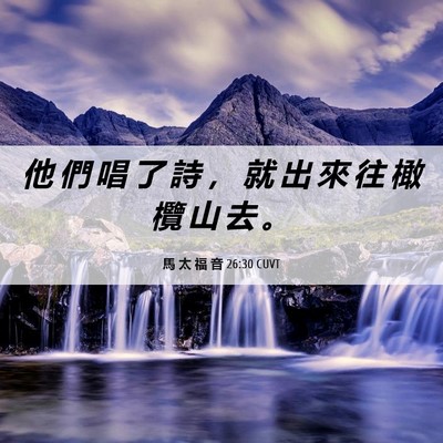 Picture 06 - 馬 太 福 音 26:30 CUVT - 他 們 唱 了 詩 ， 就 出 來 往 橄 欖 - Bible Verse Picture