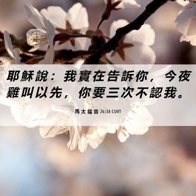 Picture 06 - 馬 太 福 音 26:34 CUVT - 耶 穌 說 ： 我 實 在 告 訴 你 ， 今 - Bible Verse Picture