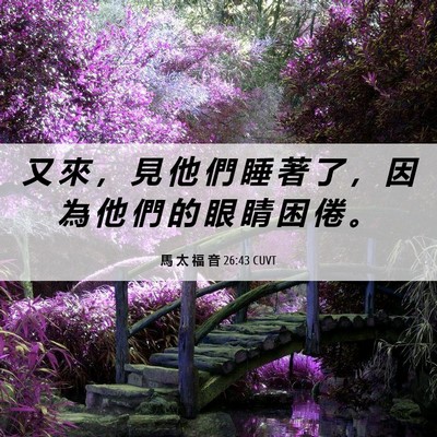 Picture 06 - 馬 太 福 音 26:43 CUVT - 又 來 ， 見 他 們 睡 著 了 ， 因 為 - Bible Verse Picture