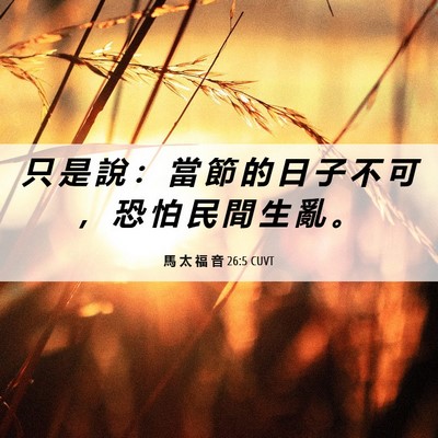 Picture 06 - 馬 太 福 音 26:5 CUVT - 只 是 說 ： 當 節 的 日 子 不 可 ， - Bible Verse Picture
