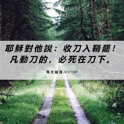 Picture 06 - 馬 太 福 音 26:52 CUVT - 耶 穌 對 他 說 ： 收 刀 入 鞘 罷 ！ - Bible Verse Picture