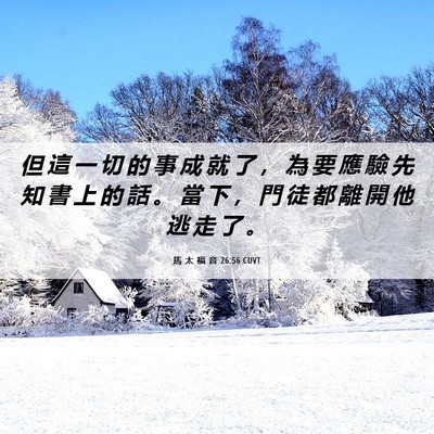 Picture 06 - 馬 太 福 音 26:56 CUVT - 但 這 一 切 的 事 成 就 了 ， 為 要 - Bible Verse Picture