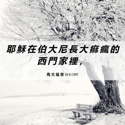 Picture 06 - 馬 太 福 音 26:6 CUVT - 耶 穌 在 伯 大 尼 長 大 痲 瘋 的 西 - Bible Verse Picture