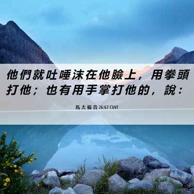 Picture 06 - 馬 太 福 音 26:67 CUVT - 他 們 就 吐 唾 沫 在 他 臉 上 ， 用 - Bible Verse Picture