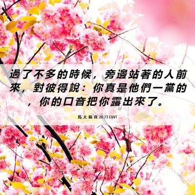 Picture 06 - 馬 太 福 音 26:73 CUVT - 過 了 不 多 的 時 候 ， 旁 邊 站 著 - Bible Verse Picture