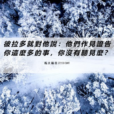 Picture 06 - 馬 太 福 音 27:13 CUVT - 彼 拉 多 就 對 他 說 ： 他 們 作 見 - Bible Verse Picture