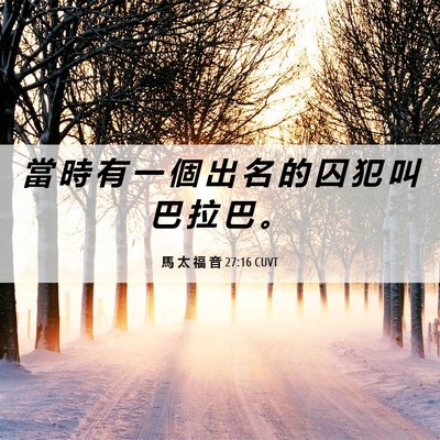 Picture 06 - 馬 太 福 音 27:16 CUVT - 當 時 有 一 個 出 名 的 囚 犯 叫 巴 - Bible Verse Picture