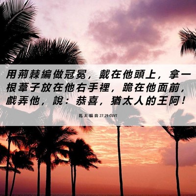 Picture 06 - 馬 太 福 音 27:29 CUVT - 用 荊 棘 編 做 冠 冕 ， 戴 在 他 頭 - Bible Verse Picture