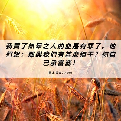 Picture 06 - 馬 太 福 音 27:4 CUVT - 我 賣 了 無 辜 之 人 的 血 是 有 罪 - Bible Verse Picture