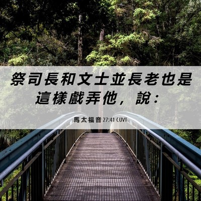 Picture 06 - 馬 太 福 音 27:41 CUVT - 祭 司 長 和 文 士 並 長 老 也 是 這 - Bible Verse Picture