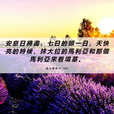 Picture 06 - 馬 太 福 音 28:1 CUVT - 安 息 日 將 盡 ， 七 日 的 頭 一 日 - Bible Verse Picture