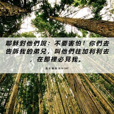 Picture 06 - 馬 太 福 音 28:10 CUVT - 耶 穌 對 他 們 說 ： 不 要 害 怕 ！ - Bible Verse Picture