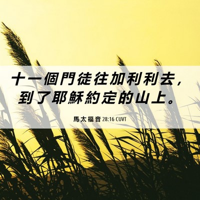 Picture 06 - 馬 太 福 音 28:16 CUVT - 十 一 個 門 徒 往 加 利 利 去 ， 到 - Bible Verse Picture